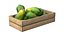 Papaya Wooden Crate