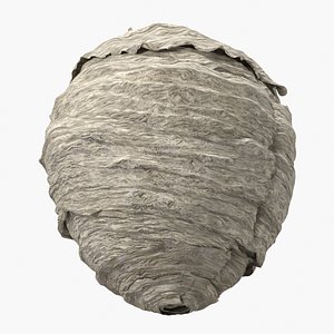Wasp Nest Shell with Organic Light Wrinkles 3D model