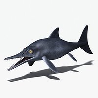Ichthyosaur