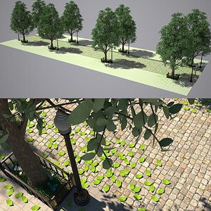 Tree Street 3D