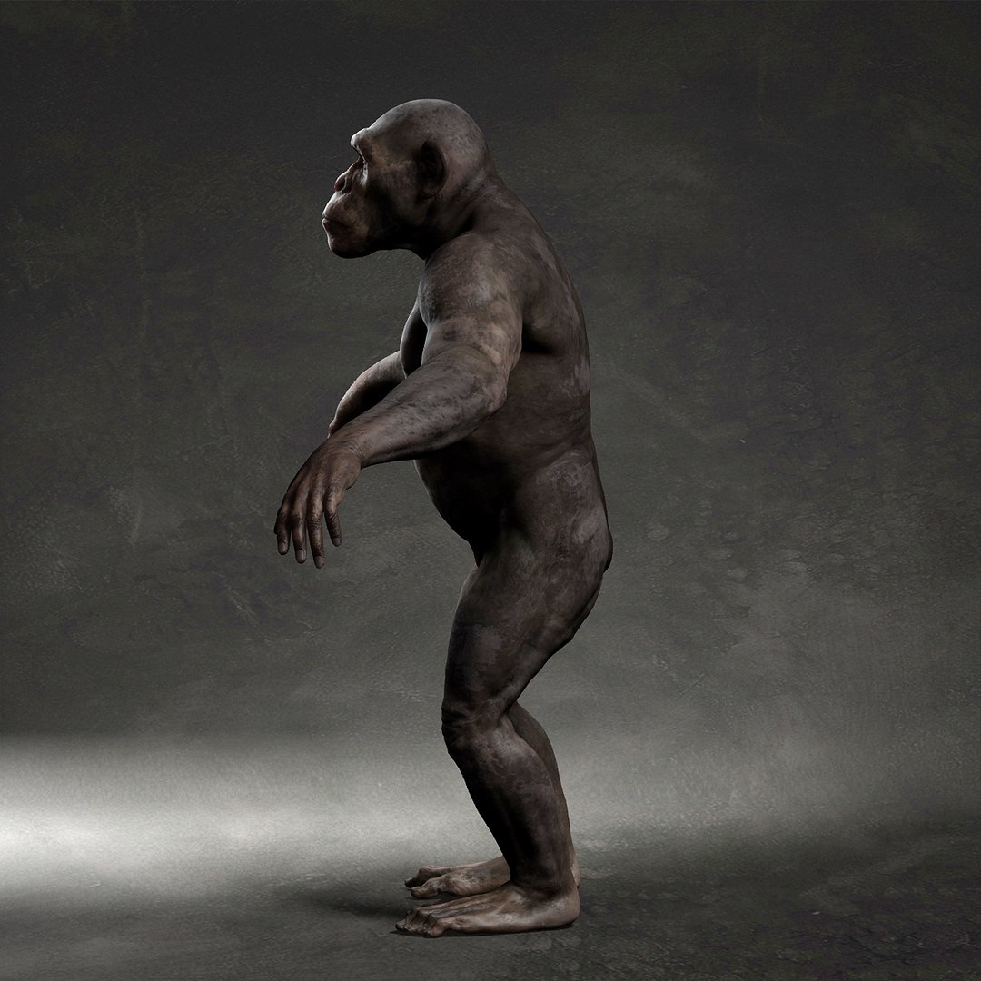 3D model Chimpanzee https://p.turbosquid.com/ts-thumb/XZ/g7Um8T/88/8/jpg/1661449000/1920x1080/fit_q87/8214014961ed8096c8f82f5b64de4cae511c9a0b/8.jpg