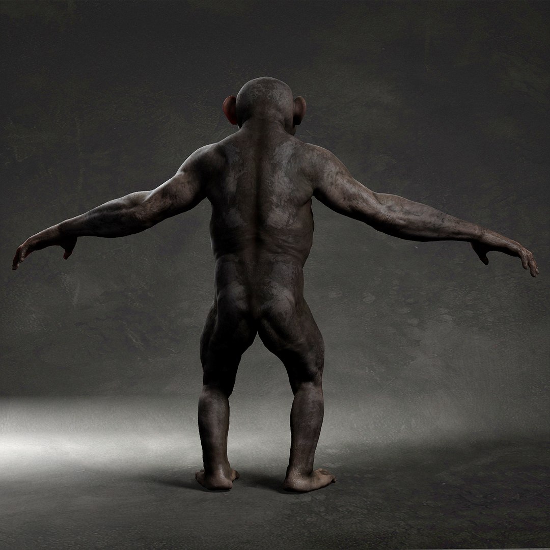 3D model Chimpanzee https://p.turbosquid.com/ts-thumb/XZ/g7Um8T/8y/6/jpg/1661449000/1920x1080/fit_q87/5194de2f3db2f157a4bdfc4f0fe10570930bfe33/6.jpg
