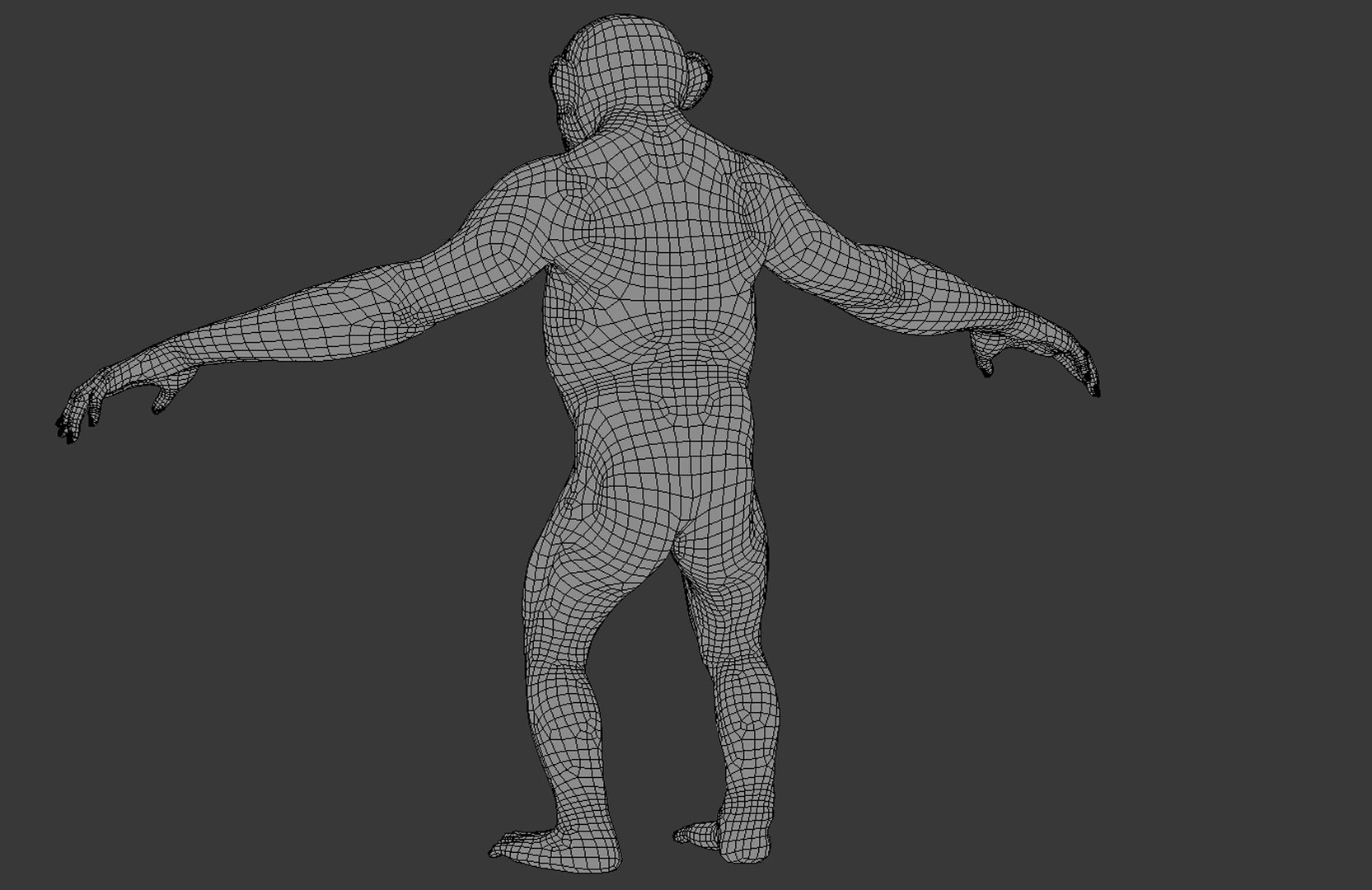 3D model Chimpanzee https://p.turbosquid.com/ts-thumb/XZ/g7Um8T/GV/wire2/jpg/1661449141/1920x1080/fit_q87/164024b6f755eed9e9c5e01a22b20a5e92671d3a/wire2.jpg