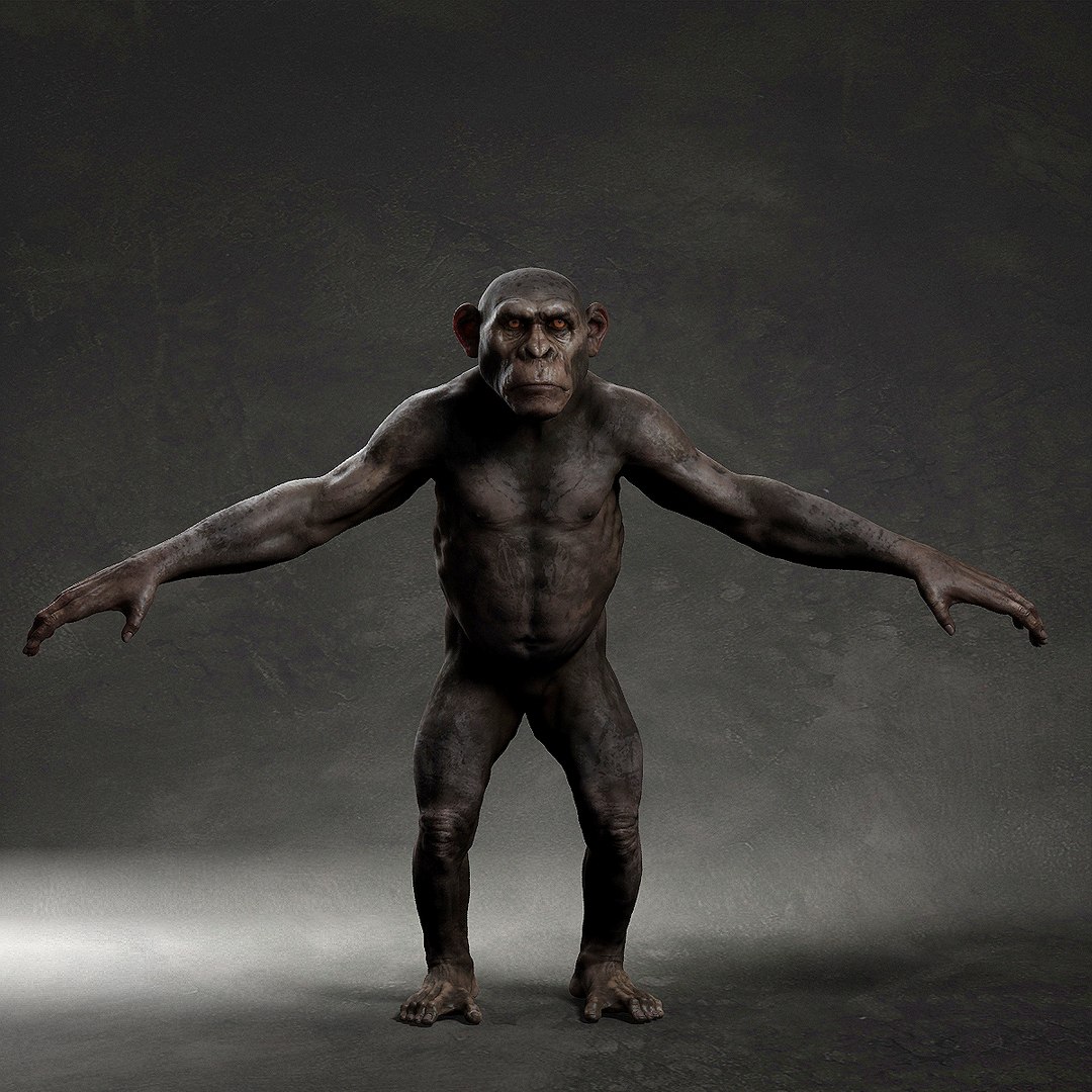 3D Model Chimpanzee - TurboSquid 1949296