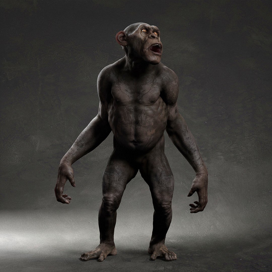 3D model Chimpanzee https://p.turbosquid.com/ts-thumb/XZ/g7Um8T/LL/1/jpg/1661448996/1920x1080/fit_q87/4c56b4d1ece296337ed5e602034844142e888563/1.jpg