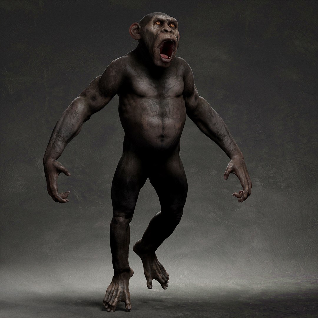 3D model Chimpanzee https://p.turbosquid.com/ts-thumb/XZ/g7Um8T/YP/3/jpg/1661448997/1920x1080/fit_q87/b1fb34ab44d2a27d0d6c673a889305ab84ff4cd1/3.jpg