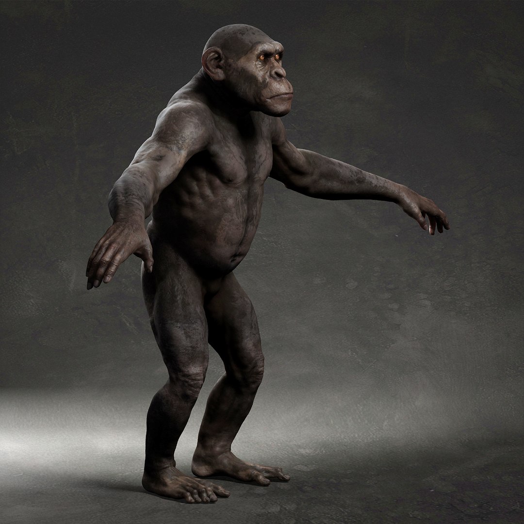 3D model Chimpanzee https://p.turbosquid.com/ts-thumb/XZ/g7Um8T/pP/5/jpg/1661449000/1920x1080/fit_q87/a4c0ca94242b7af02104897041e6c1893cc321bc/5.jpg