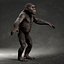 3D model Chimpanzee