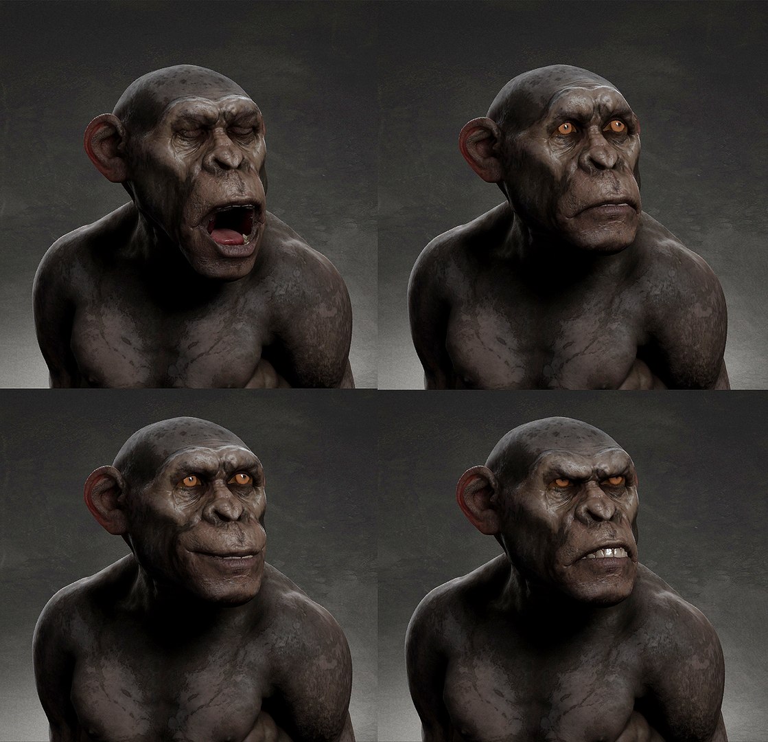 3D model Chimpanzee https://p.turbosquid.com/ts-thumb/XZ/g7Um8T/pl/emotions/jpg/1661449004/1920x1080/fit_q87/d4c979439b7e9dff0974b3dea2ac12384422b003/emotions.jpg