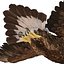 Golden Eagle Pose 2