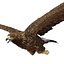 Golden Eagle Pose 2