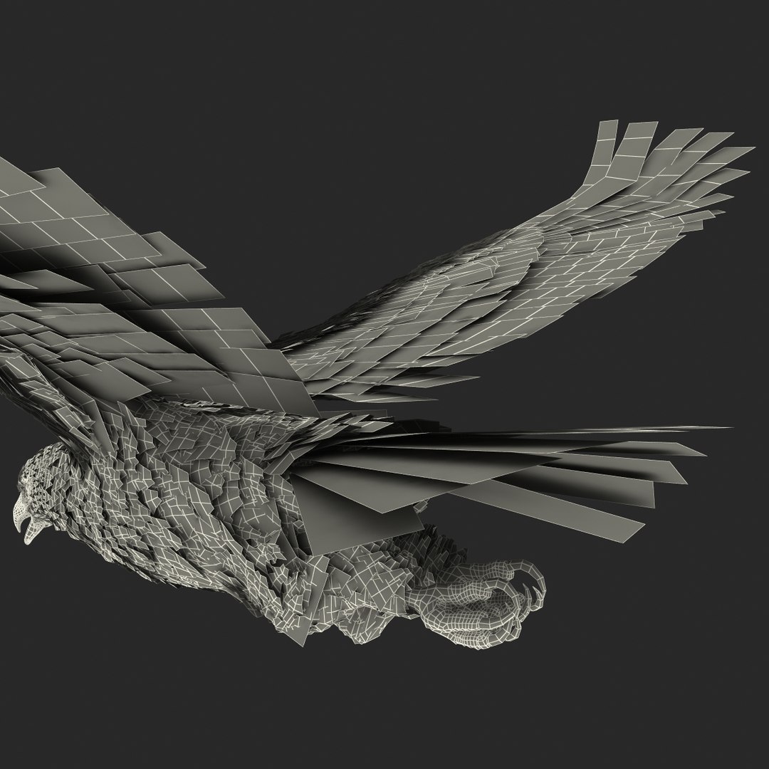 3d golden eagle pose 2 model https://p.turbosquid.com/ts-thumb/XZ/jU9MCW/1k5cD8Ak/goldeneagle3dmodel36/jpg/1447747339/1920x1080/fit_q87/776c5bd0b962b15f30a211f0fdb22979ce704ba4/goldeneagle3dmodel36.jpg