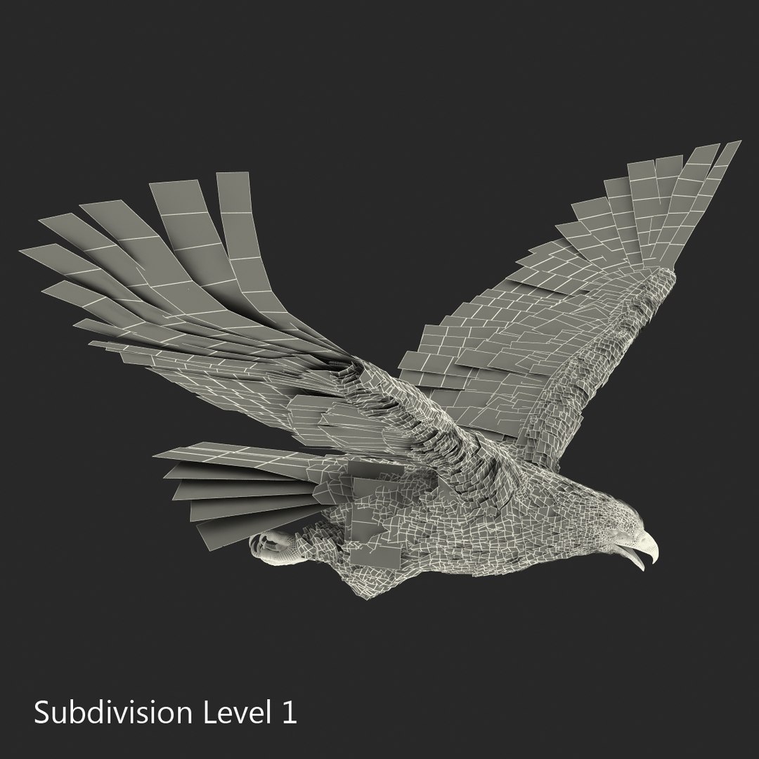 3d golden eagle pose 2 model https://p.turbosquid.com/ts-thumb/XZ/jU9MCW/DA49b3NG/goldeneagle3dmodel20/jpg/1447747338/1920x1080/fit_q87/deec7ba8735eef0c47fc5a72676e760eb3043a78/goldeneagle3dmodel20.jpg