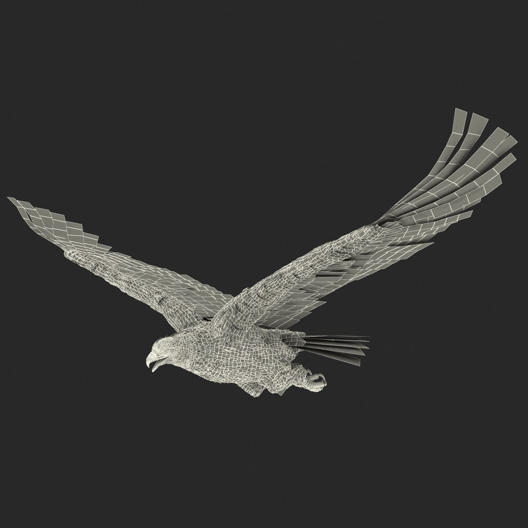3d golden eagle pose 2 model https://p.turbosquid.com/ts-thumb/XZ/jU9MCW/NuB4BfL0/goldeneagle3dmodel26/jpg/1447747338/1920x1080/fit_q87/d74f5c146957be522a4ab72a76345dcc5ed9d770/goldeneagle3dmodel26.jpg
