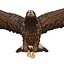 Golden Eagle Pose 2