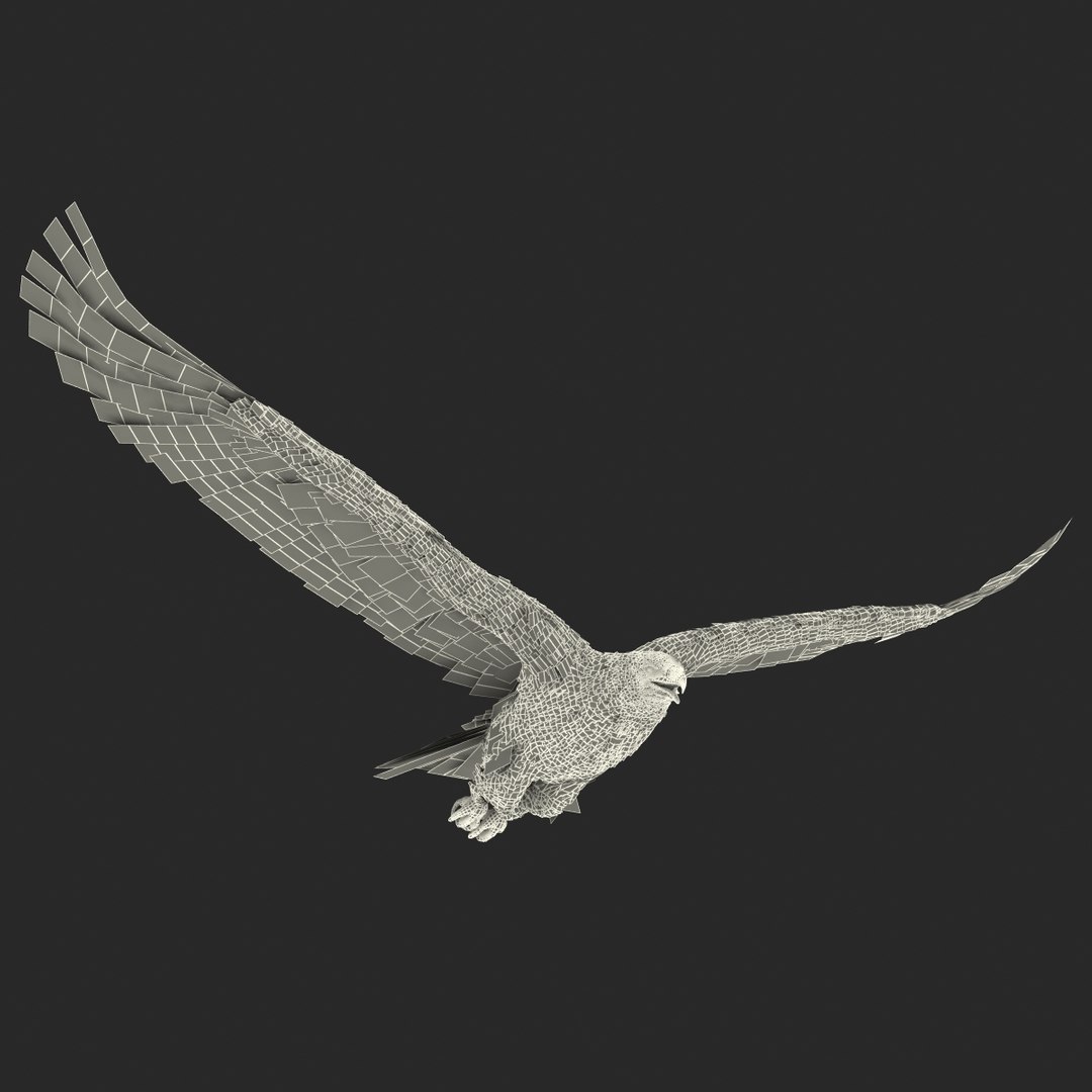 3d golden eagle pose 2 model https://p.turbosquid.com/ts-thumb/XZ/jU9MCW/e8w6GGj8/goldeneagle3dmodel28/jpg/1447747338/1920x1080/fit_q87/fe69fd909afb12f4d2eafa640b83897f086b6f3b/goldeneagle3dmodel28.jpg