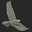 Golden Eagle Pose 2