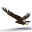 Golden Eagle Pose 2