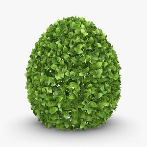 Hedge 02