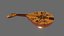 Mandolin