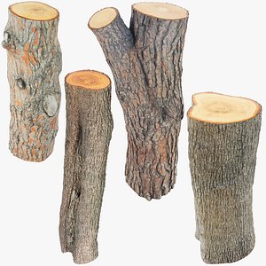 Logs Collection V4 3D model