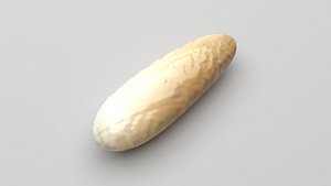 Pine Nut