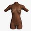 Torse féminin afro-américain ultime