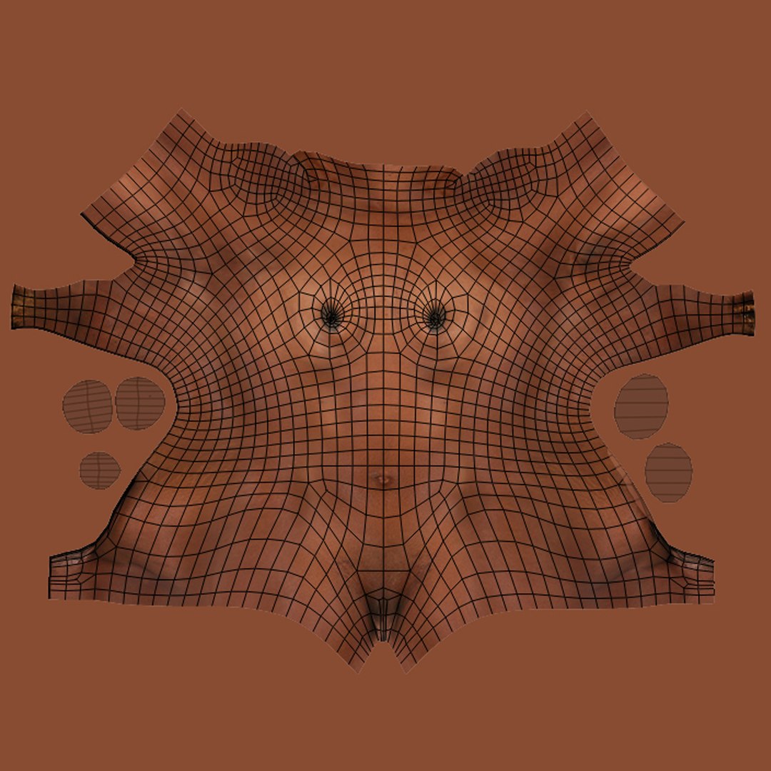 3d ma ultimate african american female torso https://p.turbosquid.com/ts-thumb/Xa/HM0lXS/kDipHsGg/uvmap4/jpg/1444100678/1920x1080/fit_q87/e67897f5d400fa3eb54ec9cb860bb2fa85017c32/uvmap4.jpg
