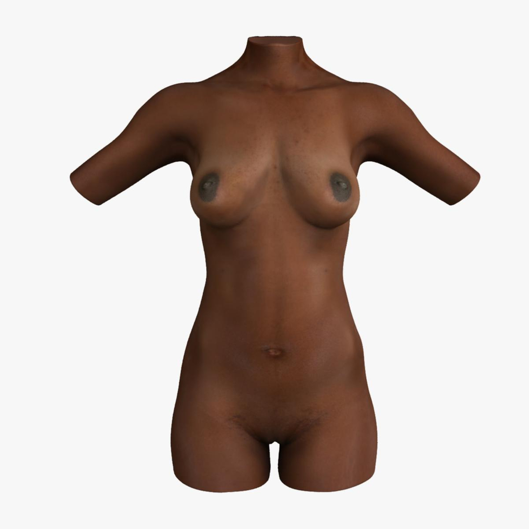 3d ma ultimate african american female torso https://p.turbosquid.com/ts-thumb/Xa/HM0lXS/kgw2vndb/spinaa/jpg/1444102875/1920x1080/turn_fit_q99/9c75c3e8b1fec76c4d242e09ea1b4b0b74513ee5/spinaa-1.jpg