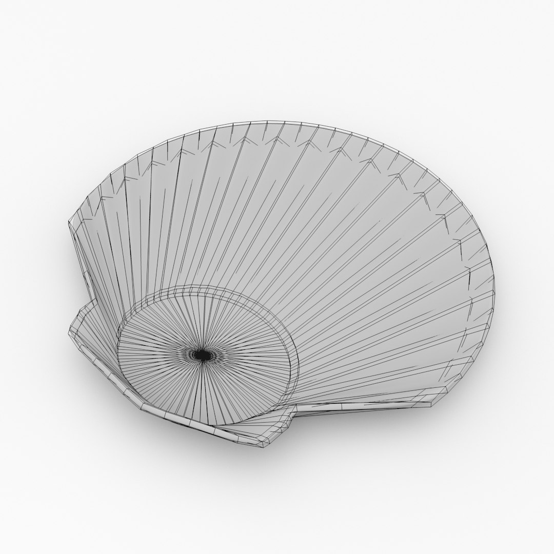 shell plate 3d x https://p.turbosquid.com/ts-thumb/Xa/JXpzcs/GP6HACmR/pic5/jpg/1481013187/1920x1080/fit_q87/30d2d513576477991d8ad52656bb1f6e2215287f/pic5.jpg