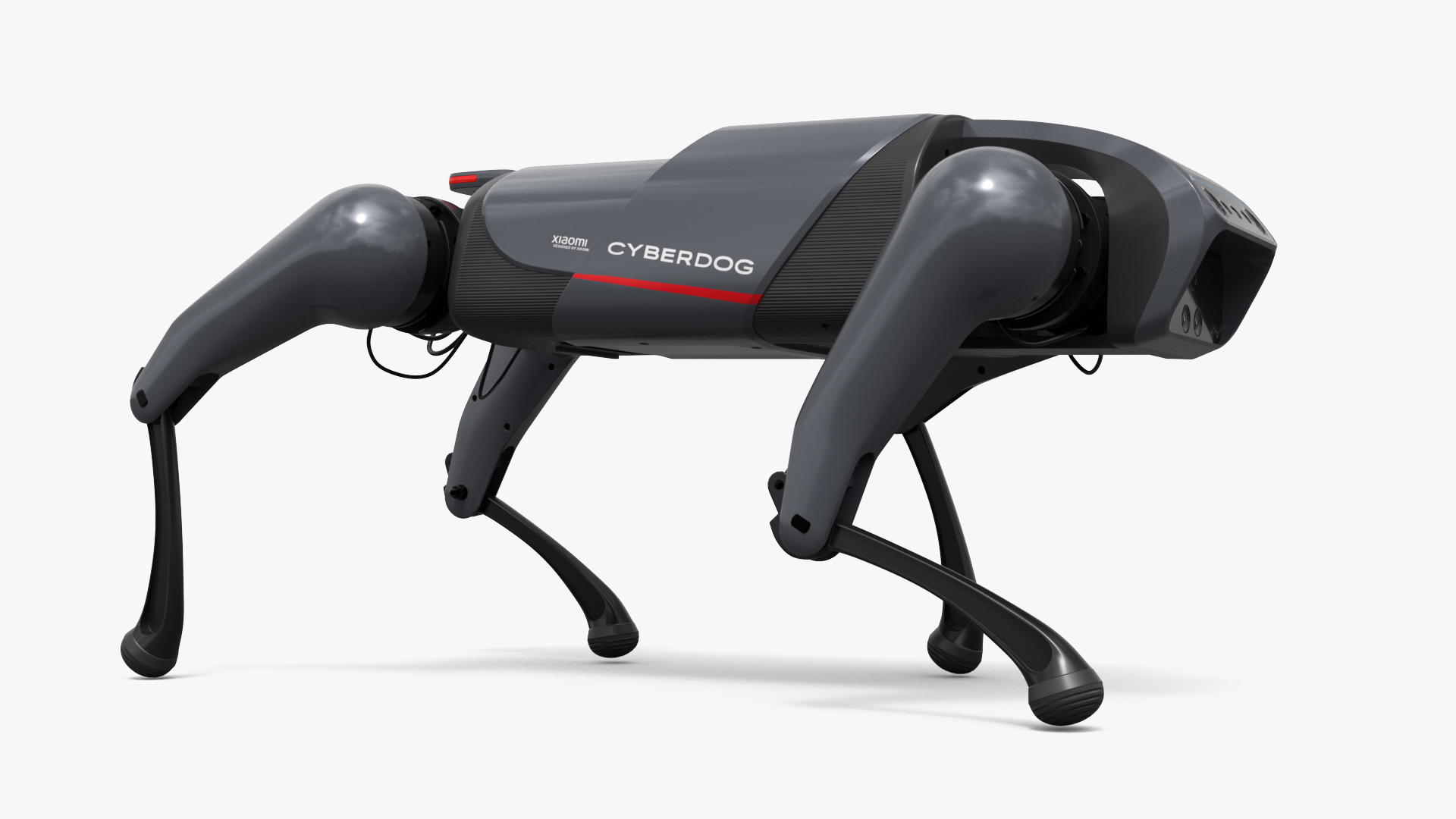 Xiaomi CyberDog Quadruped Robot Rigged For Maya 3D model https://p.turbosquid.com/ts-thumb/Xa/MxKt5V/95/xiaomi_cyberdog_quadruped_robot_rigged_for_maya_361/jpg/1776825775/1920x1080/turn_fit_q99/c719ac7d8ed4183e5680918826ce83164641e3e5/xiaomi_cyberdog_quadruped_robot_rigged_for_maya_361-1.jpg