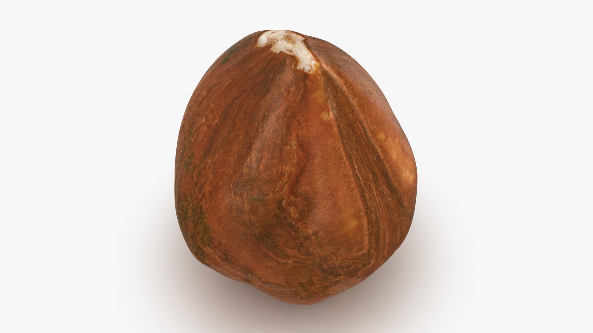 Hazelnut 04 3D model https://p.turbosquid.com/ts-thumb/Xa/NCBAhw/64/hazelnut_04_b0018/jpg/1661882096/1920x1080/fit_q87/390970eb652e5edac0342b18f535168384c70e06/hazelnut_04_b0018.jpg