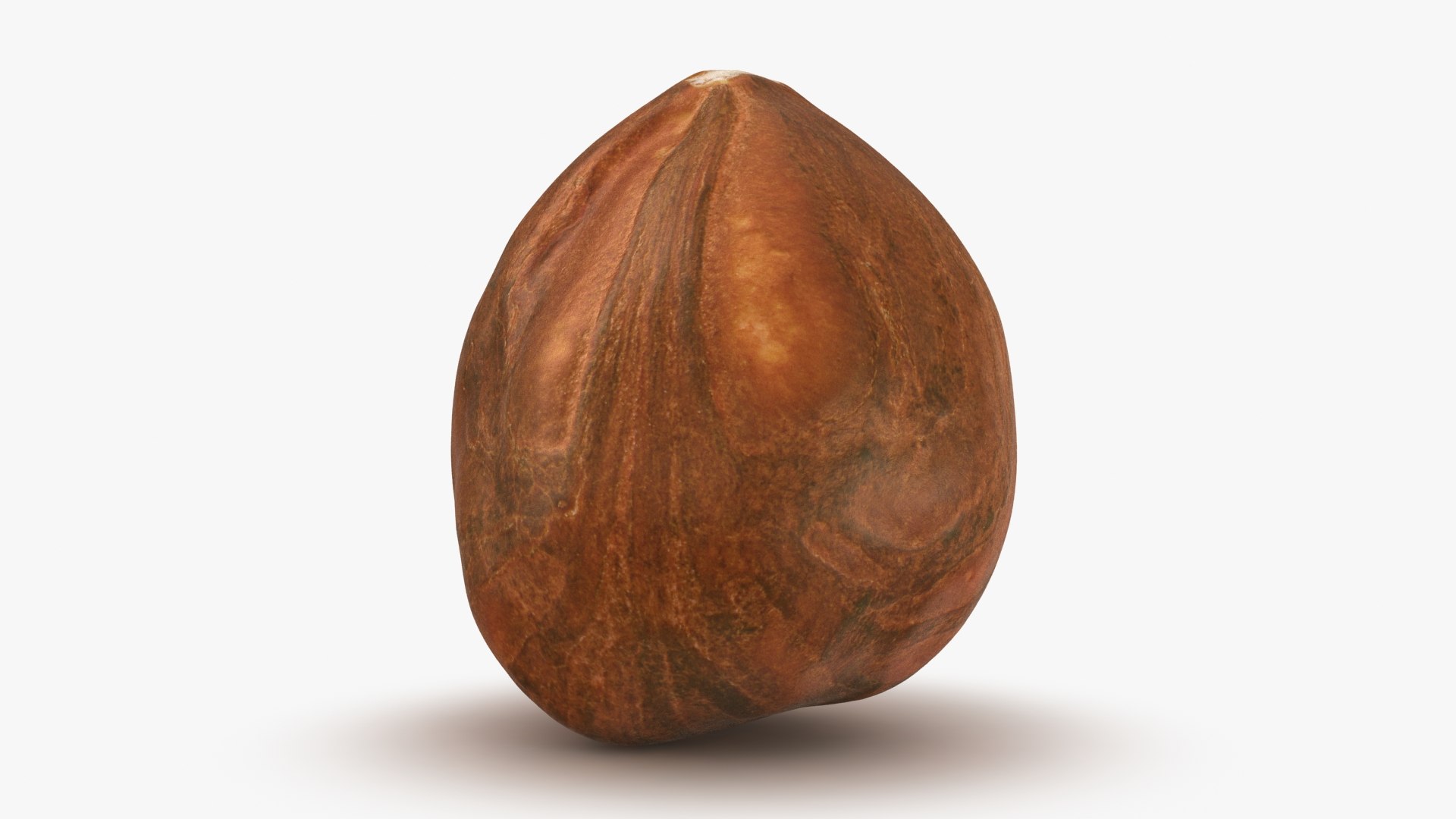 Hazelnut 04 3D model https://p.turbosquid.com/ts-thumb/Xa/NCBAhw/6u/hazelnut_04_b0000/jpg/1661882070/1920x1080/fit_q87/0b9b5f37402adacc62b370af1c3130254c2f7eb2/hazelnut_04_b0000.jpg