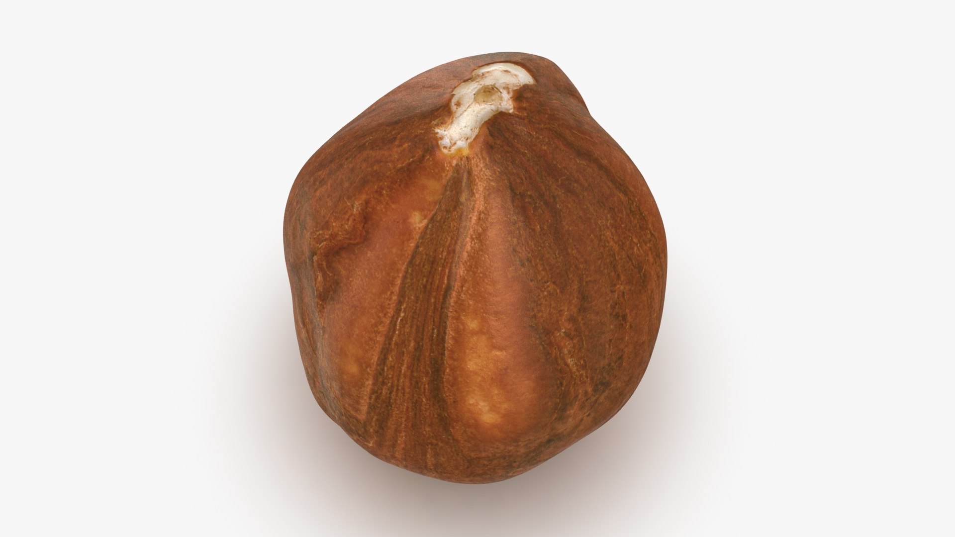 Hazelnut 04 3D model https://p.turbosquid.com/ts-thumb/Xa/NCBAhw/E2/hazelnut_04_b0020/jpg/1661882096/1920x1080/fit_q87/547f8e4a53b3e6cfb312ce91aa7e342bdf887b72/hazelnut_04_b0020.jpg