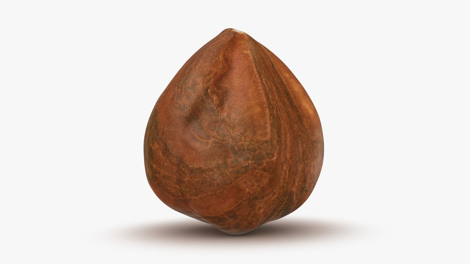 Hazelnut 04 3D model https://p.turbosquid.com/ts-thumb/Xa/NCBAhw/F1/hazelnut_04_b0012/jpg/1661882093/1920x1080/fit_q87/0c899da9f4ee6021e0841014b64fa3163e212e4a/hazelnut_04_b0012.jpg