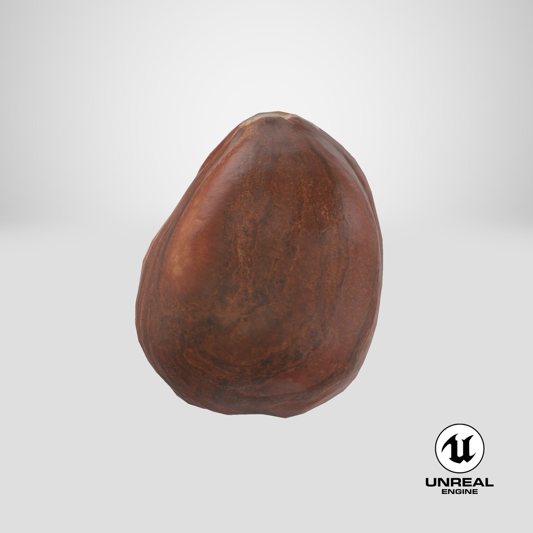 Hazelnut 04 3D model https://p.turbosquid.com/ts-thumb/Xa/NCBAhw/Fr/stemcell_unreal_render/png/1663830301/1920x1080/fit_q87/312bc5260367378637bf264582dfdc70877e427a/stemcell_unreal_render.jpg