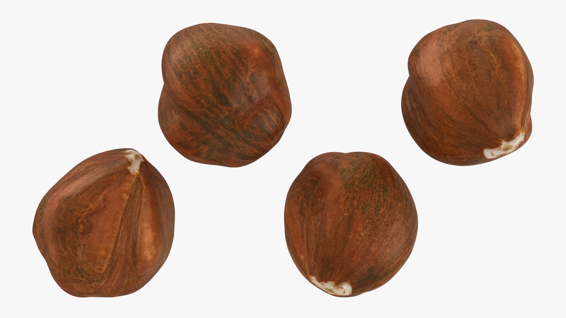 Hazelnut 04 3D model https://p.turbosquid.com/ts-thumb/Xa/NCBAhw/VB/hazelnut_04_a0002/jpg/1661882057/1920x1080/fit_q87/f3b5f58e688073c5be7ffb784ed7cd5e31ada456/hazelnut_04_a0002.jpg