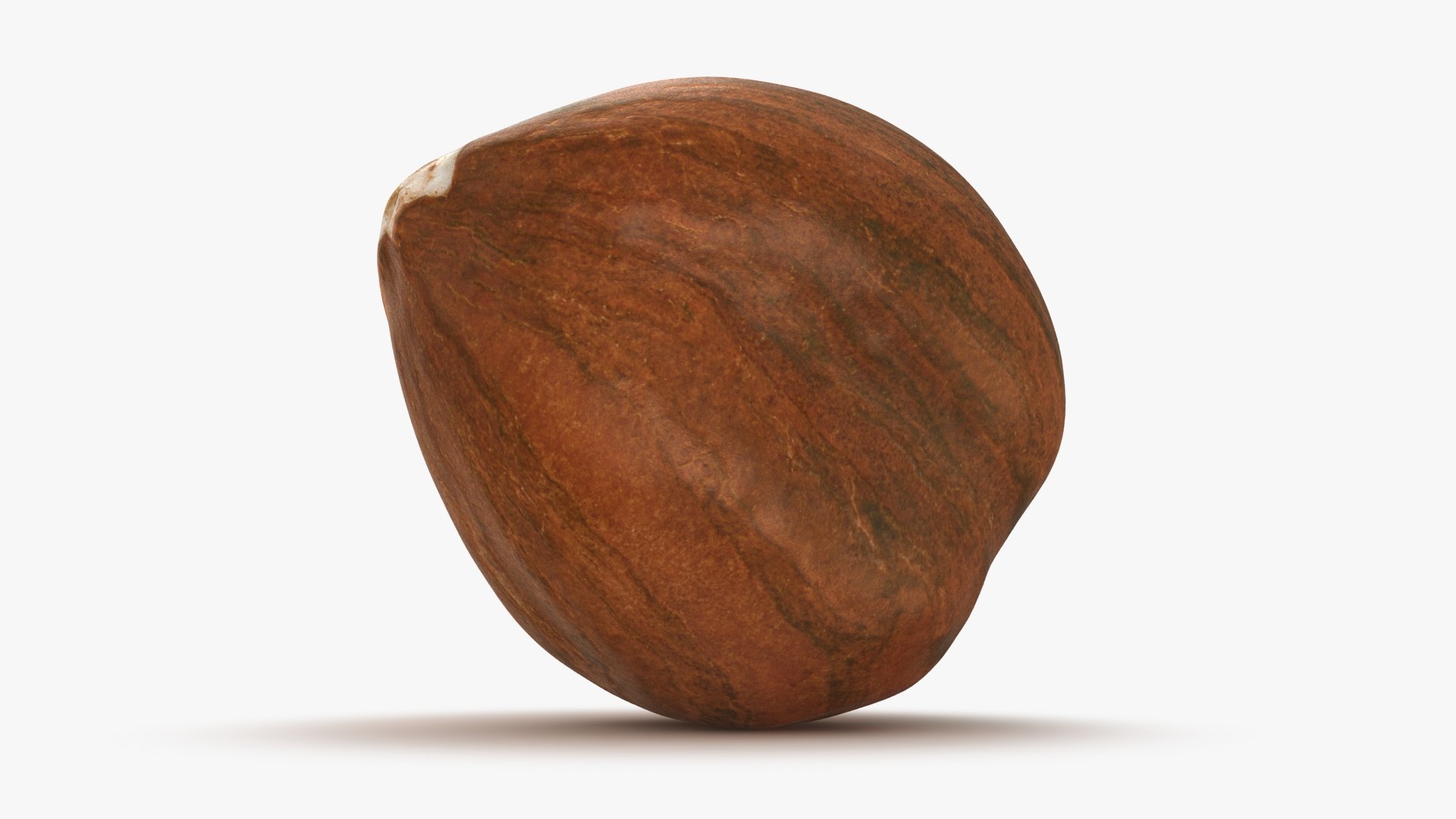 Hazelnut 04 3D model https://p.turbosquid.com/ts-thumb/Xa/NCBAhw/Vn/hazelnut_04_b0024/jpg/1661882100/1920x1080/fit_q87/91c993aeb14b17a6626741cdb62216df141a5e50/hazelnut_04_b0024.jpg