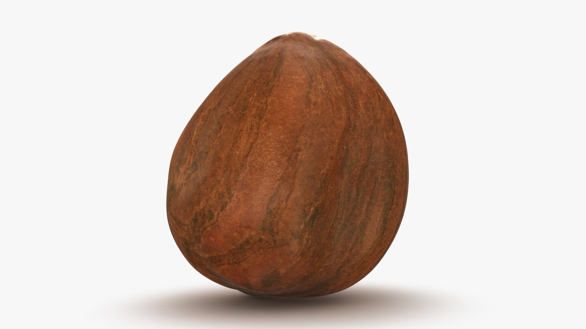 Hazelnut 04 3D model https://p.turbosquid.com/ts-thumb/Xa/NCBAhw/Yn/hazelnut_04_b0016/jpg/1661882094/1920x1080/fit_q87/161816161d3543112539b52ff0b965d294253136/hazelnut_04_b0016.jpg