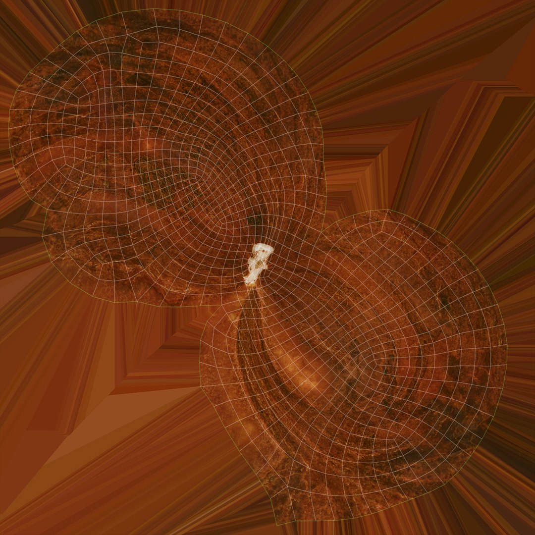 Hazelnut 04 3D model https://p.turbosquid.com/ts-thumb/Xa/NCBAhw/it/hazelnut_04_d0004/jpg/1661882103/1920x1080/fit_q87/33bebbf479f0b3f254d41fb1f21375be69e9d155/hazelnut_04_d0004.jpg