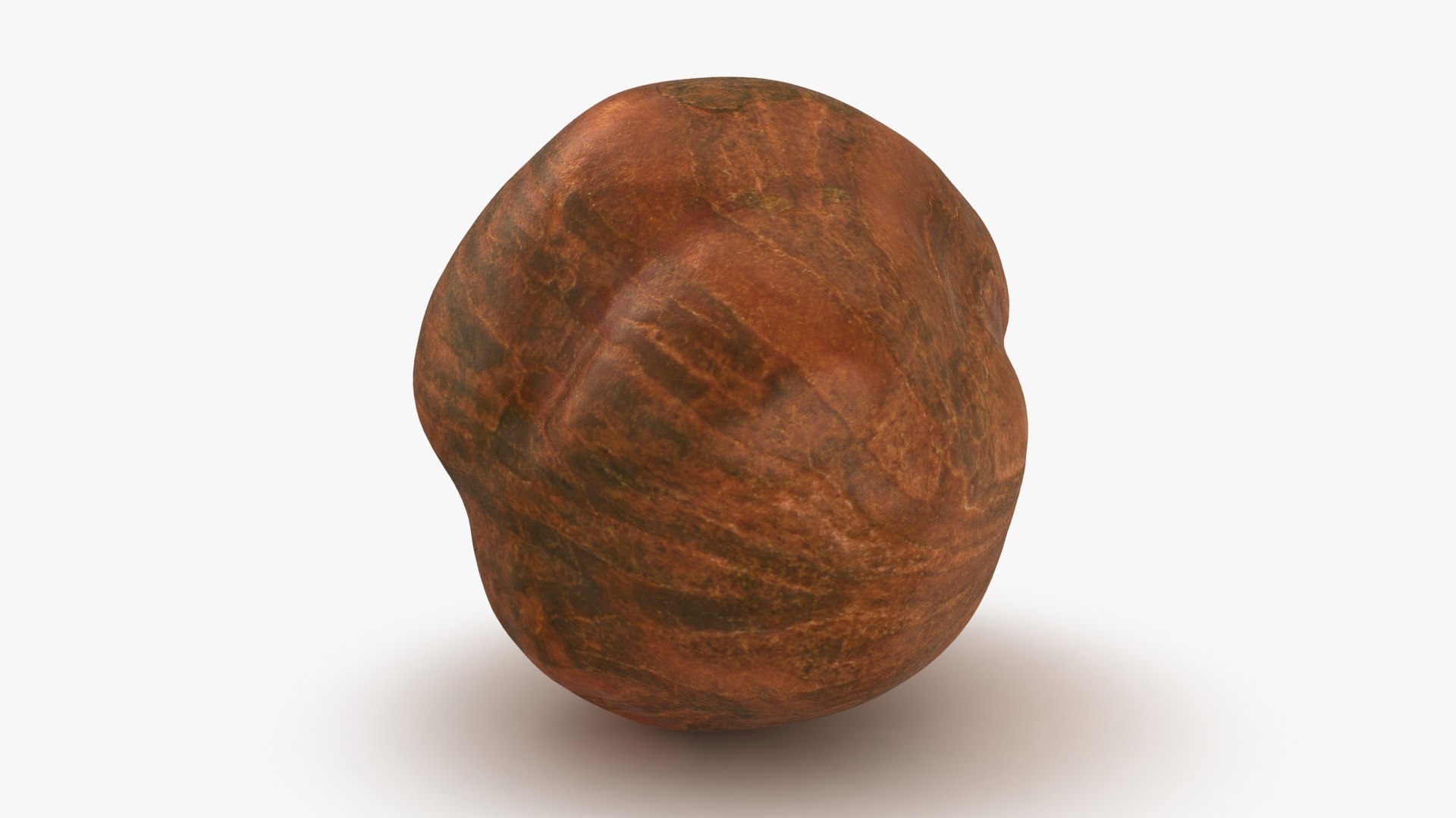 Hazelnut 04 3D model https://p.turbosquid.com/ts-thumb/Xa/NCBAhw/rC/hazelnut_04_b0023/jpg/1661882097/1920x1080/fit_q87/4b660b618f100a76afa63207d9fe4619e954f067/hazelnut_04_b0023.jpg