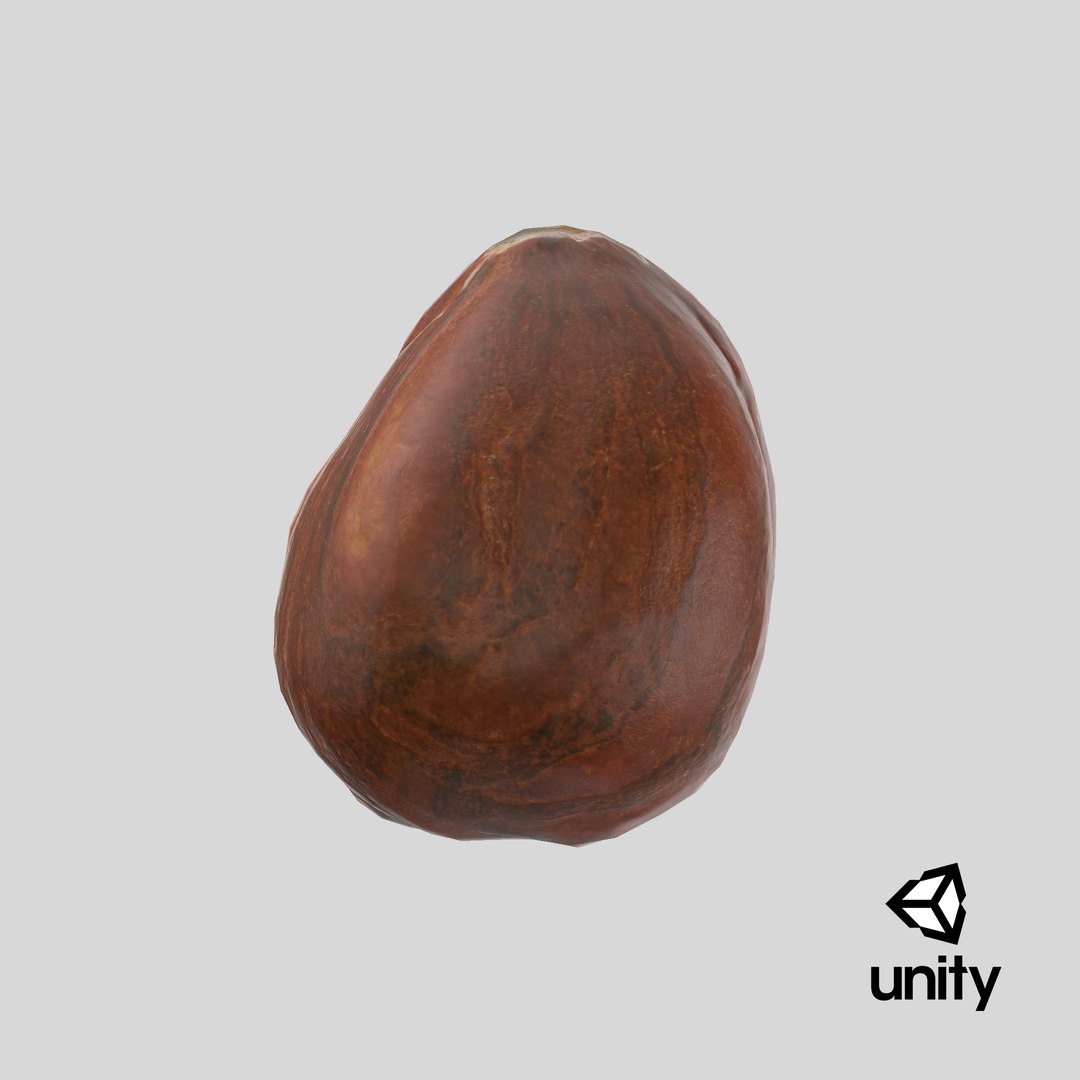 Hazelnut 04 3D model https://p.turbosquid.com/ts-thumb/Xa/NCBAhw/s0/stemcell_unity_render/png/1663830299/1920x1080/fit_q87/b9c5bdd5ea5ef5ec5abb6beedad548ff43dd4df3/stemcell_unity_render.jpg