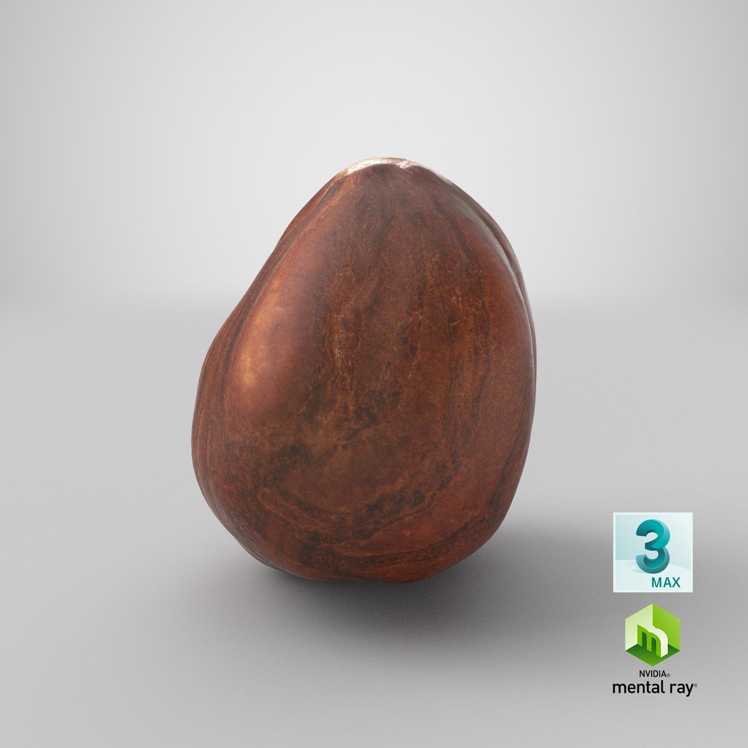 Hazelnut 04 3D model https://p.turbosquid.com/ts-thumb/Xa/NCBAhw/sF/stemcell_max_mental_ray_render/png/1663830305/1920x1080/fit_q87/43a7e1fef92d385351e653bbfdad861051a63645/stemcell_max_mental_ray_render.jpg