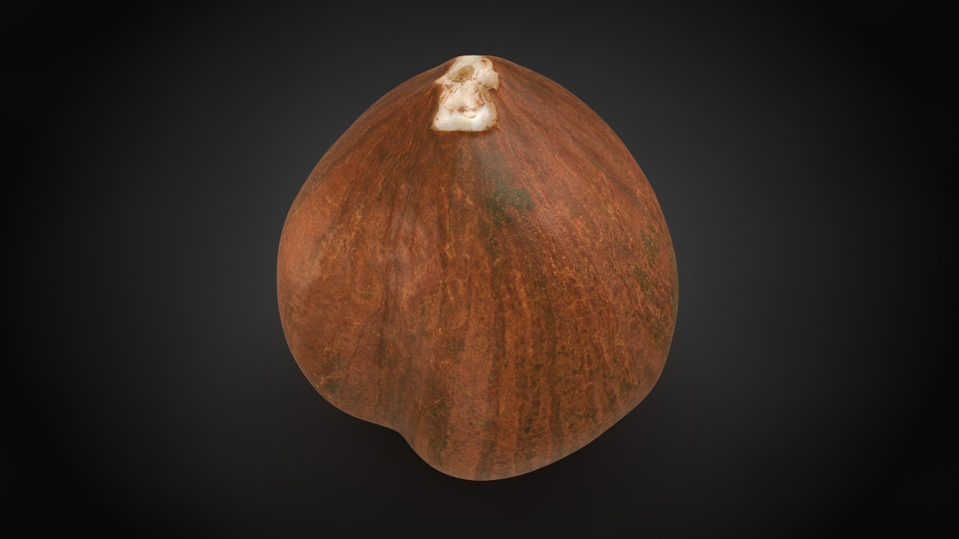 Hazelnut 04 3D model https://p.turbosquid.com/ts-thumb/Xa/NCBAhw/w8/hazelnut_04_a0001/jpg/1661882047/1920x1080/fit_q87/3865b31a7415c4b72c6cdc65fff5c0e3a9795359/hazelnut_04_a0001.jpg