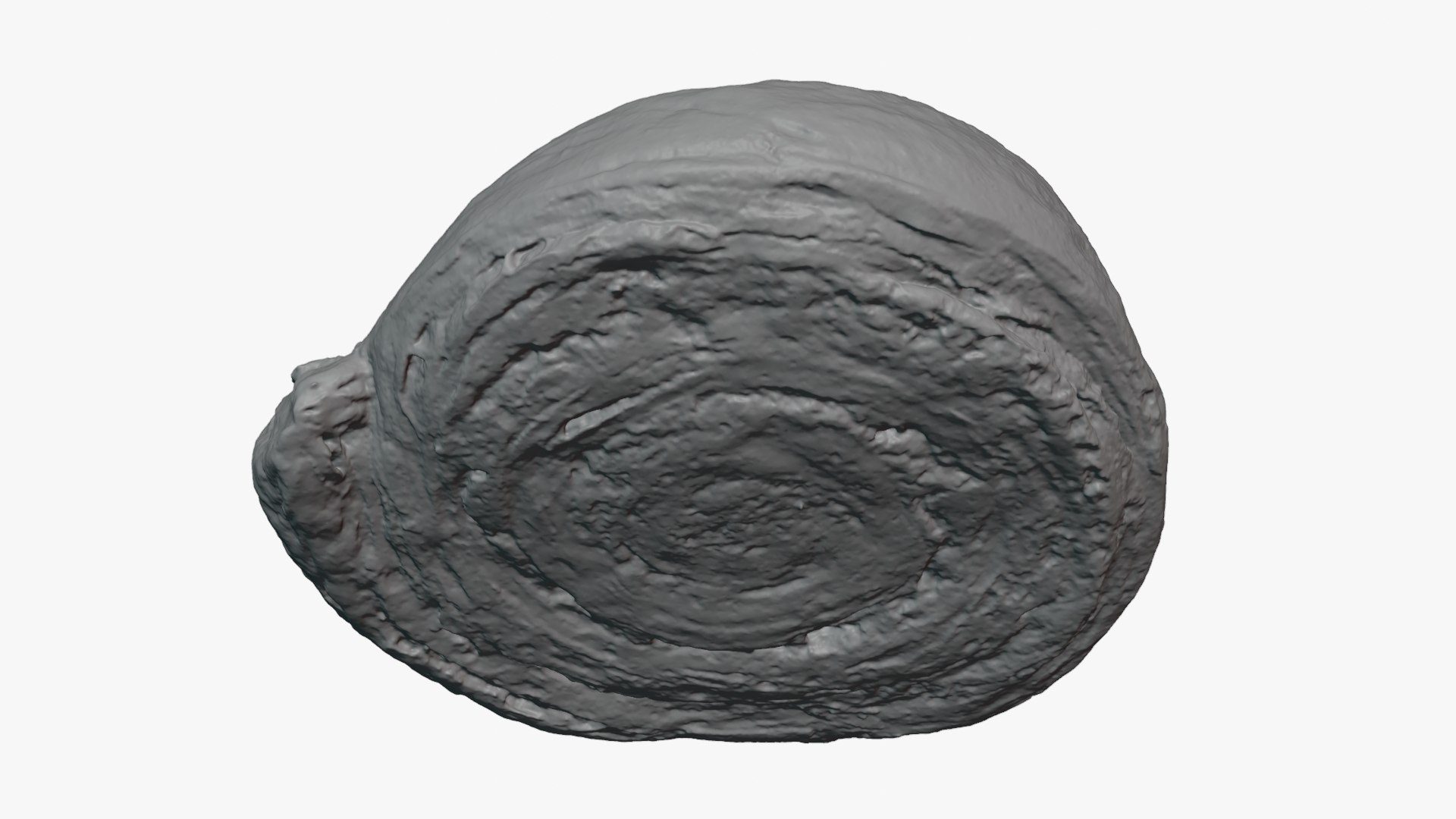 3D Cinnamon Roll 01 for 3D Print https://p.turbosquid.com/ts-thumb/Xa/SPVUWj/YW/cinnamonroll01_0004/png/1751869796/1920x1080/fit_q87/cb248a1cc1a187f652f8c09bc92e9b66c5e2b7a3/cinnamonroll01_0004.jpg