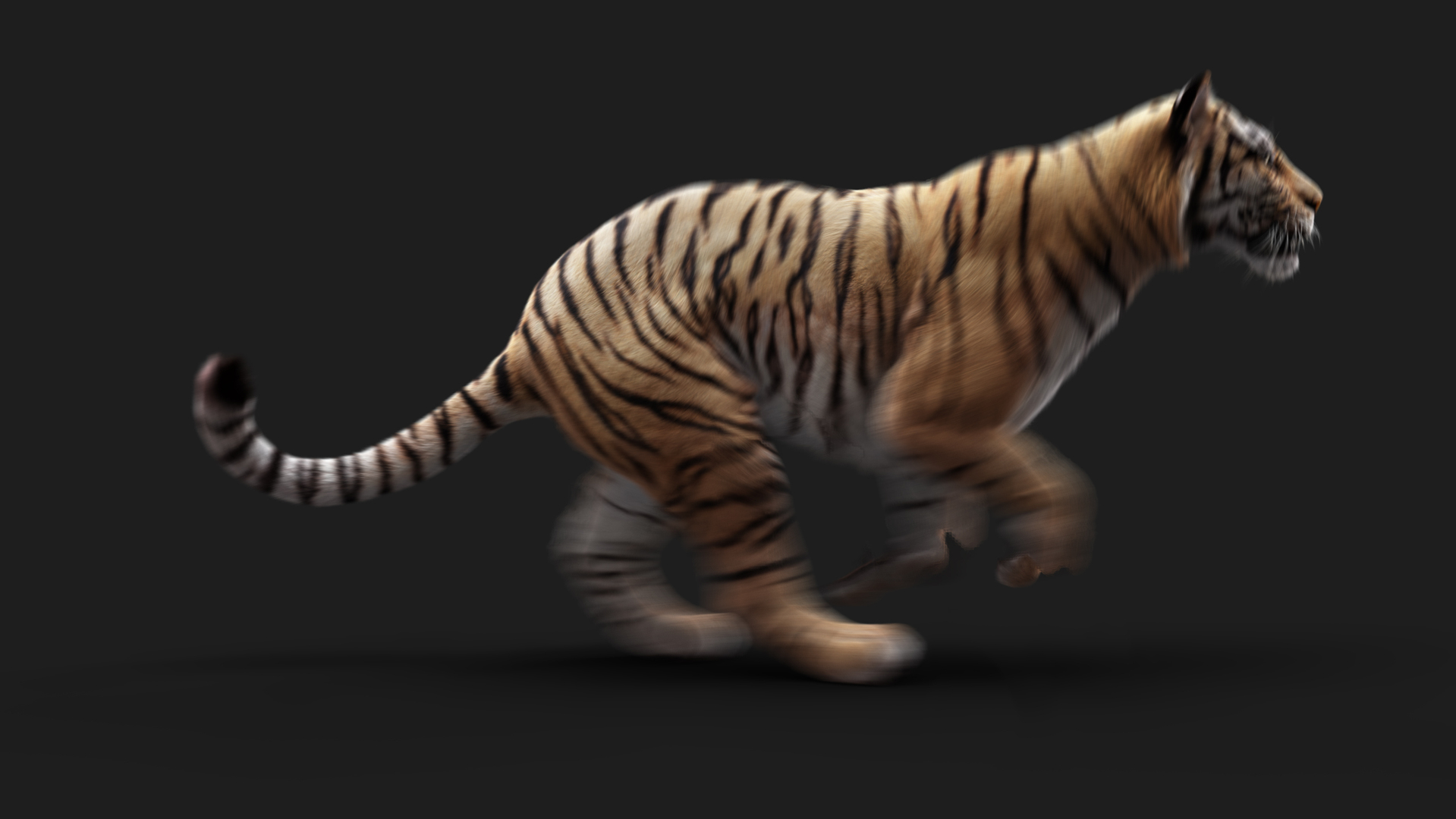 Bengal Tiger ANIMATED Yeti 3D model - TurboSquid 2124743