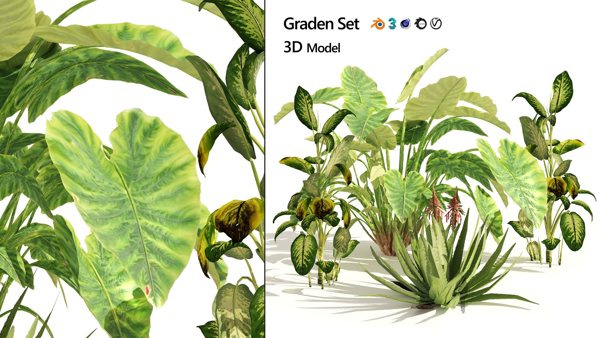 Garden set of tropical plants 3D model https://p.turbosquid.com/ts-thumb/Xa/cOGe5U/F7/artcover/jpg/1659570782/1920x1080/fit_q87/386c807ffc1de3f959a1ba917778b307378ad6e8/artcover.jpg