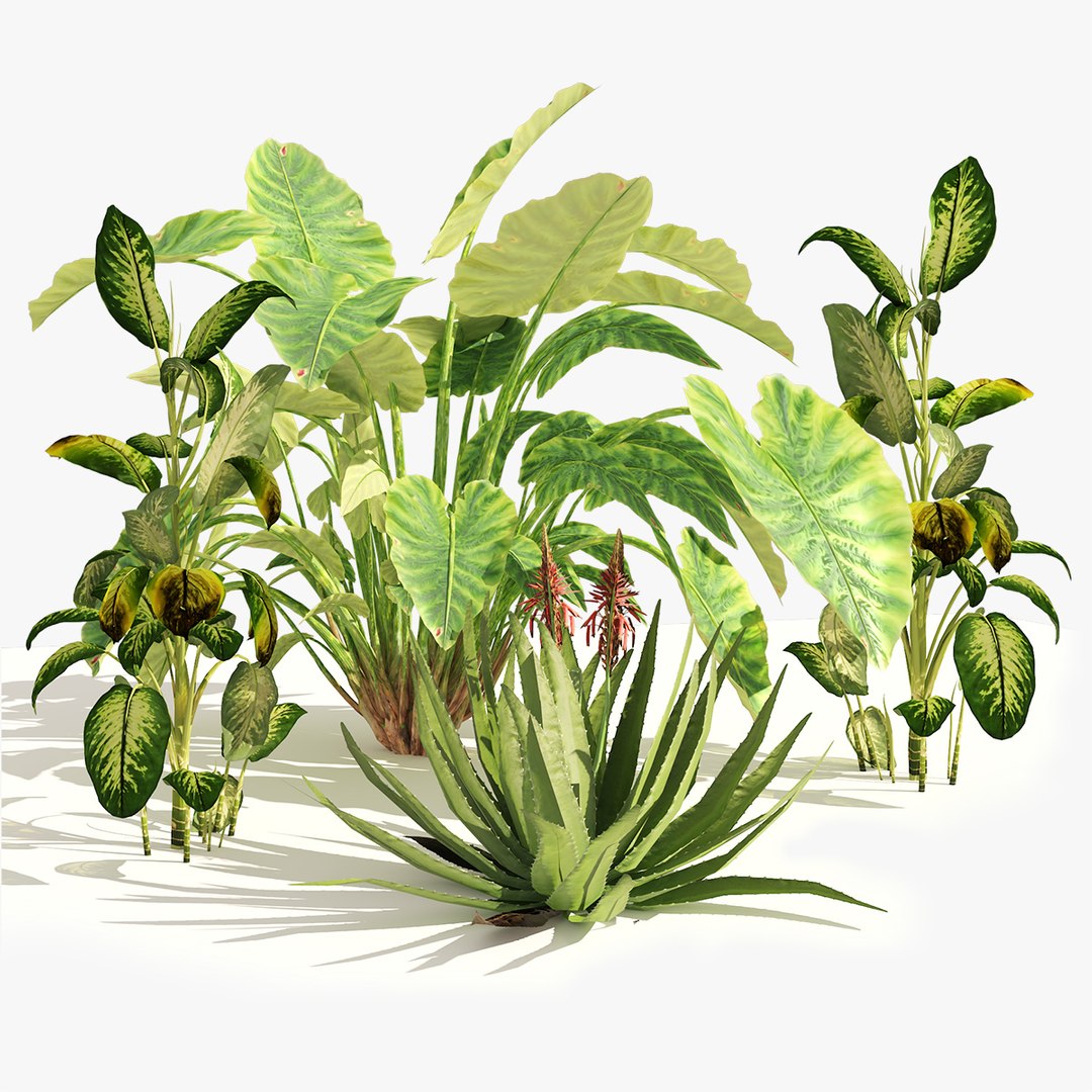 Garden set of tropical plants 3D model - TurboSquid 1937674