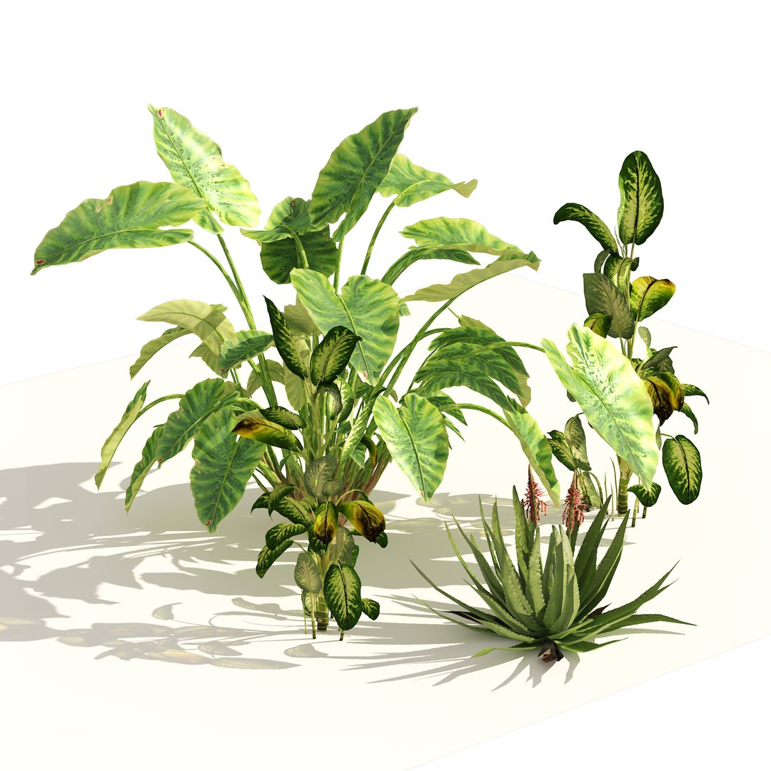 Garden set of tropical plants 3D model https://p.turbosquid.com/ts-thumb/Xa/cOGe5U/St/02pp/jpg/1659570779/1920x1080/fit_q87/7826cf63b057cb655a610fa23d3d575fce53c43d/02pp.jpg