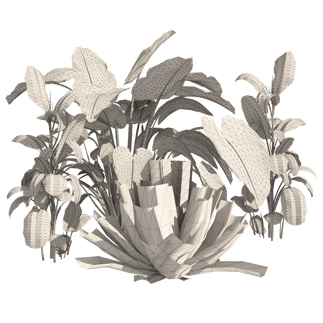 Garden set of tropical plants 3D model https://p.turbosquid.com/ts-thumb/Xa/cOGe5U/TJ/wire/jpg/1659570783/1920x1080/fit_q87/a9b835733658a1a3fa6a2c37a8bfb9156ca7a047/wire.jpg